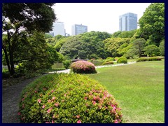 Shinjuku Gyoen 14